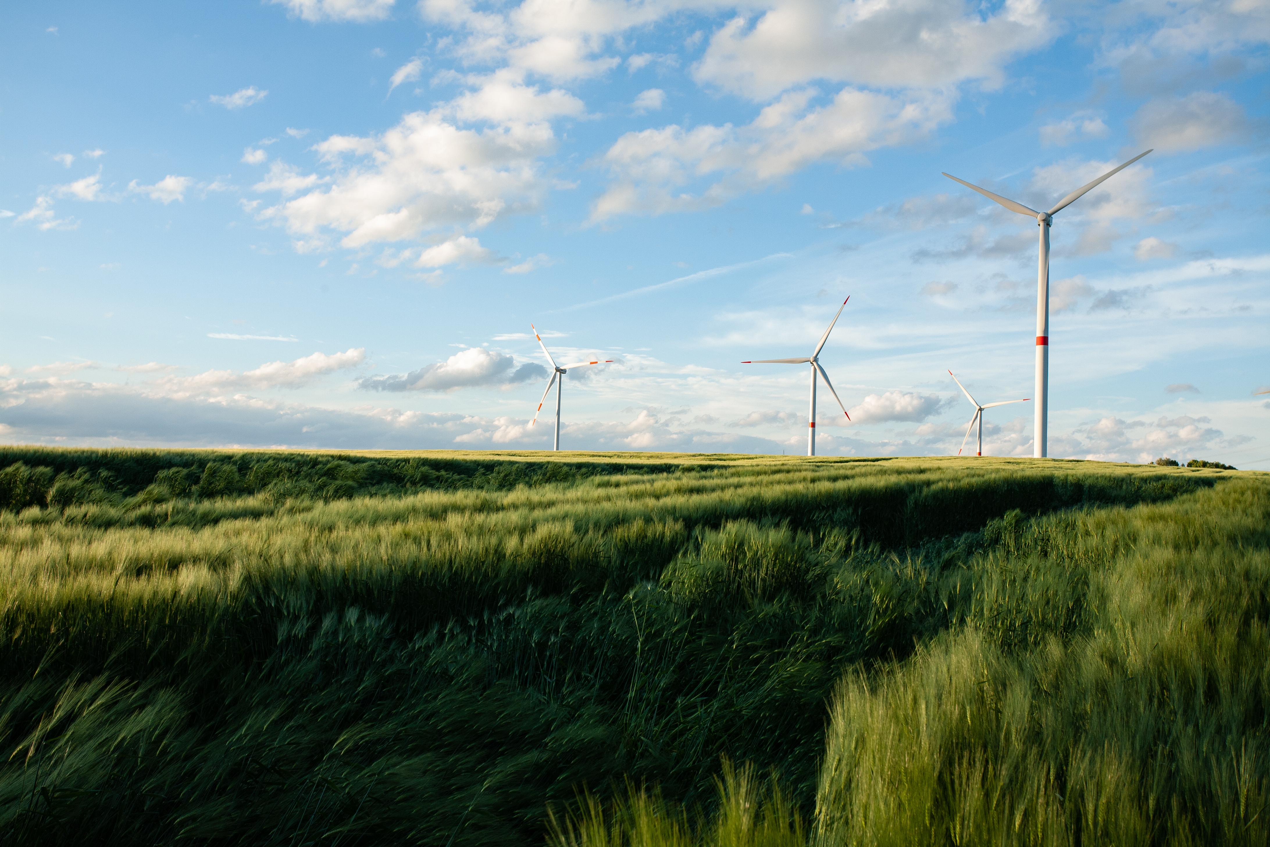 Environmental Data